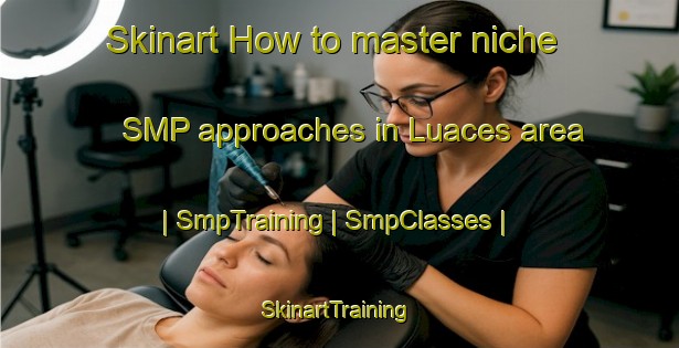 Skinart How to master niche SMP approaches in Luaces area | SmpTraining | SmpClasses | SkinartTraining-Spain